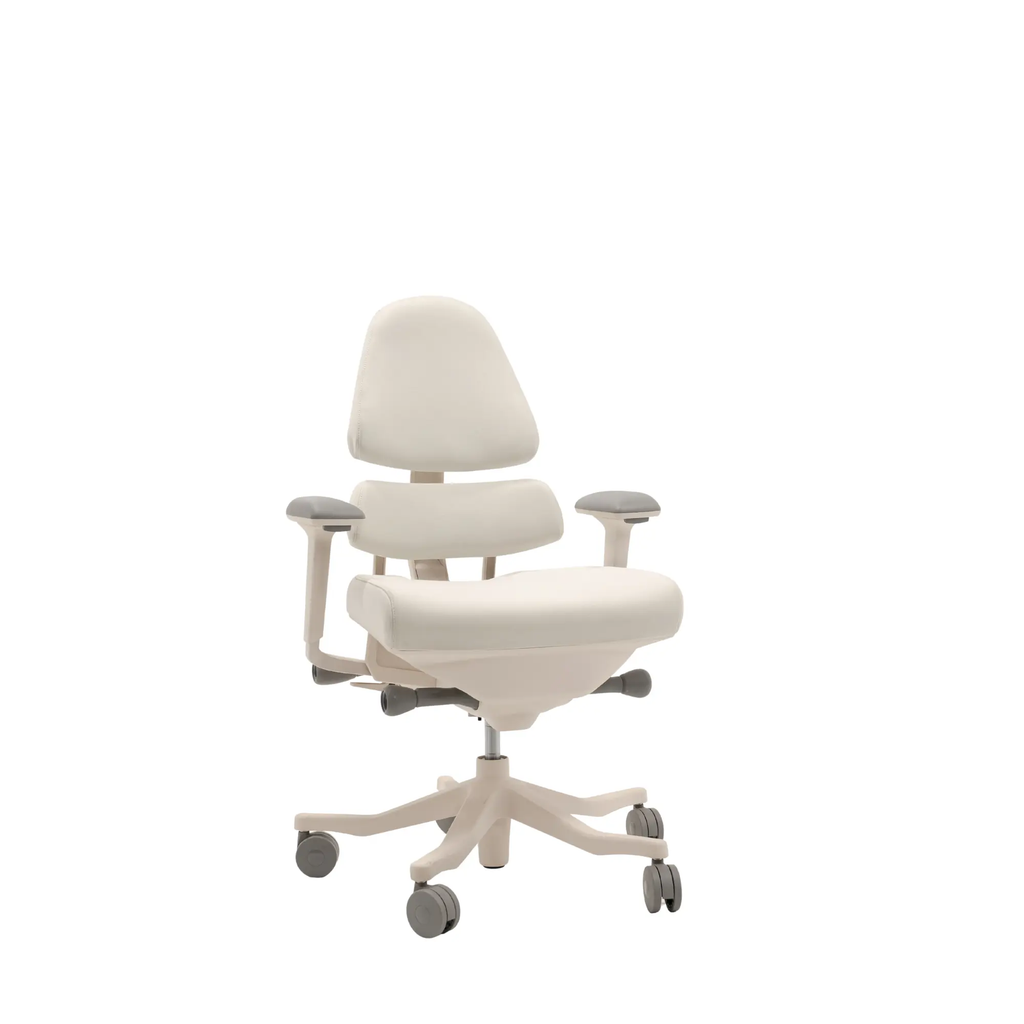 Anthros Office Chair Position 9